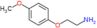2-(4-methoxyphenoxy)ethanaminium