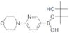 6-(4-Morpholinyl)pyridine-3-boronic acid pinacol ester