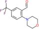 2-morpholin-4-yl-5-(trifluoromethyl)benzaldehyde