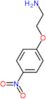 2-(4-nitrophenoxy)ethanamine