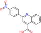 2-(4-nitrophenyl)quinoline-4-carboxylic acid