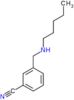 Benzonitrile, 3-[(pentylamino)methyl]-