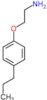 2-(4-propylphenoxy)ethanamine