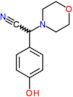 (4-Hydroxyphenyl)(morpholin-4-yl)acetonitril