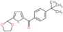 [4-(1,1-Dimethylethyl)phenyl][5-(1,3-dioxolan-2-yl)-2-thienyl]methanone