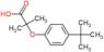 2-(4-tert-butylphenoxy)-2-methylpropanoic acid