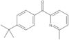 [4-(1,1-Dimethylethyl)phenyl](6-methyl-2-pyridinyl)methanone