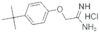 2-[4-(tert-butyl)phenoxy]ethanimidamide hydrochloride