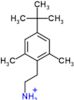 2-(4-tert-butyl-2,6-dimethylphenyl)ethanaminium