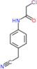 2-chloro-N-[4-(cyanomethyl)phenyl]acetamide