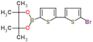 2-[5-(5-bromo-2-thienyl)-2-thienyl]-4,4,5,5-tetramethyl-1,3,2-dioxaborolane