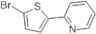 2-(5-bromo-2-thienyl)pyridine