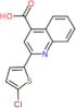 2-(5-Chloro-2-thienyl)-4-quinolinecarboxylic acid