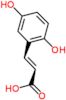 (2E)-3-(2,5-dihydroxyphenyl)prop-2-enoic acid