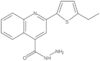 2-(5-Ethyl-2-thienyl)-4-quinolinecarboxylic acid hydrazide