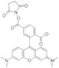 6-Carboxytetramethylrhodamine succinimidyl ester