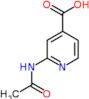 2-(acetylamino)pyridine-4-carboxylic acid