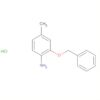 Benzenamine, 4-methyl-2-(phenylmethoxy)-, hydrochloride