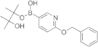 6-Benzyloxypyridine-3-boronic acid pinacol ester
