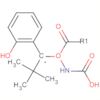 Carbamic acid, [(2-hydroxyphenyl)methyl]-, 1,1-dimethylethyl ester