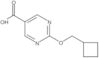 2-(Cyclobutylmethoxy)-5-pyrimidinecarboxylic acid