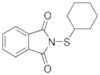 2-(Cicloexiltio)-1H-isoindol-1,3(2H)-diona