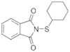 N-(Cyclohexylthio)phtalimide