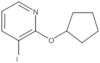 2-(Cyclopentyloxy)-3-iodopyridine