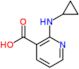 2-(Cyclopropylamino)-3-pyridinecarboxylic acid