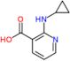 2-(cyclopropylamino)pyridine-3-carboxylic acid