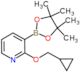 2-(Cyclopropylmethoxy)-3-(4,4,5,5-tetramethyl-1,3,2-dioxaborolan-2-yl)pyridine