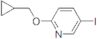2-Cyclopropylmethoxy-5-iodopyridine