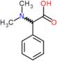 (dimethylamino)(phenyl)acetic acid