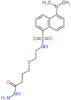 5-(dimethylamino)-N-{2-[(3-hydrazino-3-oxopropyl)disulfanyl]ethyl}naphthalene-1-sulfonamide