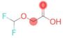 2-(difluoromethoxy)acetic acid