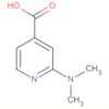 2-(Dimethylamino)isonicotinic acid
