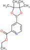 ethyl 4-(4,4,5,5-tetramethyl-1,3,2-dioxaborolan-2-yl)pyridine-2-carboxylate