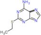 2-(ethylsulfanyl)-5H-purin-6-amine