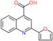 2-(furan-2-yl)quinoline-4-carboxylic acid