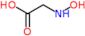 N-hydroxyglycine