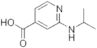 4-Pyridinecarboxylic acid, 2-[(1-methylethyl)amino]-