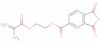 2-[(2-methyl-1-oxoallyl)oxy]ethyl 1,3-dihydro-1,3-dioxoisobenzofuran-5-carboxylate