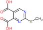 2-(methylsulfanyl)pyrimidine-4,5-dicarboxylic acid