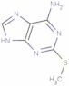 2-methylsulfanyl-7H-purin-6-amine