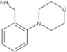 2-morpholinobenzylamine
