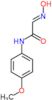 (2E)-2-(hydroxyimino)-N-(4-methoxyphenyl)ethanamide