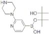 2-(1-Piperazinyl)pyridine-4-boronic acid pinacol ester