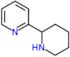 2-(piperidin-2-yl)pyridine