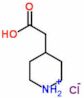 4-Piperidine acetic acid, HCl