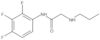 2-(Propylamino)-N-(2,3,4-trifluorophenyl)acetamide